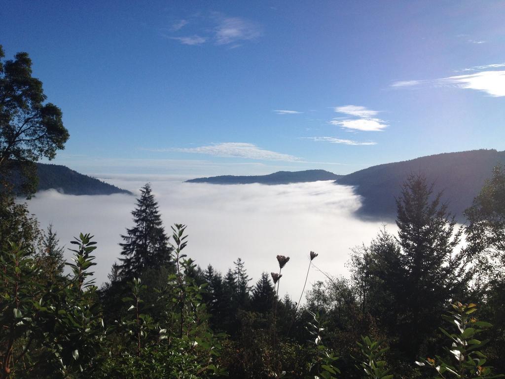 Moon Water Lodge Malahat Cameră foto